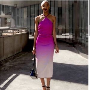 Signed Blake Orchid Ombre Print (Amazon The Drop) XL